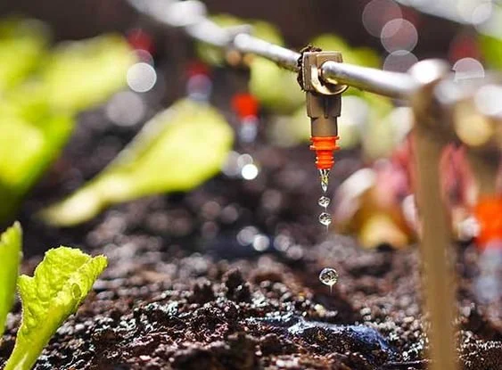 Drip Irrigation - The Ultimate Guide for Beginners β Reticulation Pro