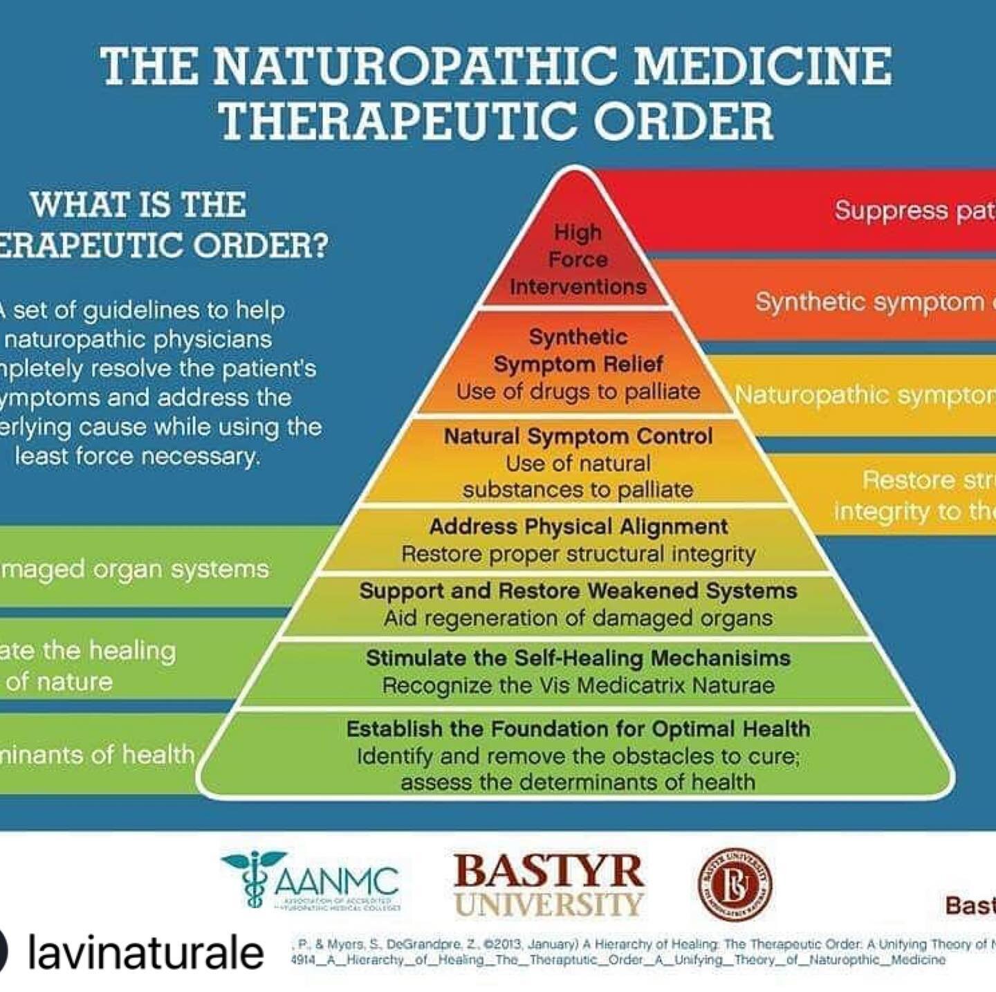 #Repost @lavinaturale with @make_repost
・・・
The therapeutic order guides Naturopathic Medicine. Being trained in both &quot;western&quot; and &quot;traditional&quot; medicine, we are able to assess what would be the most effective while simultaneousl