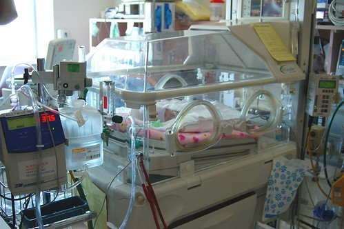 Tiptoe Through the NICU: Fundamentals of Neonatal Feeding and Swallowing