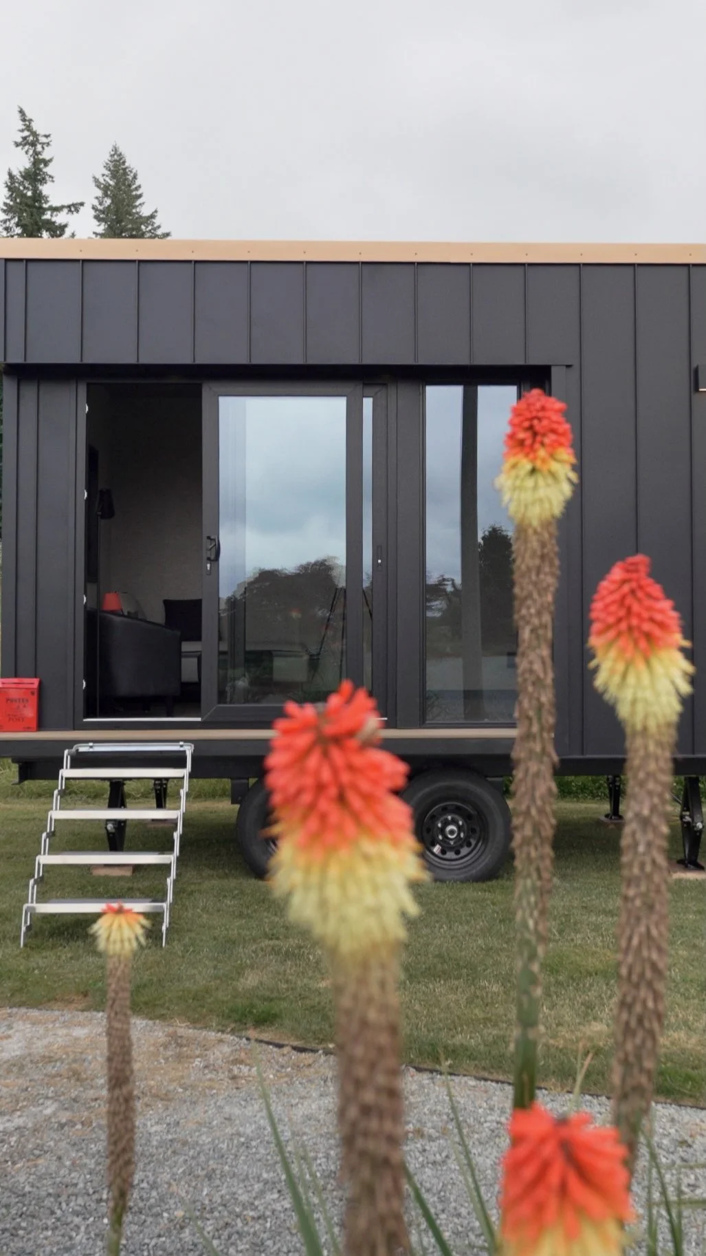 Image 6-17-25 at 1.21 PM.jpeg