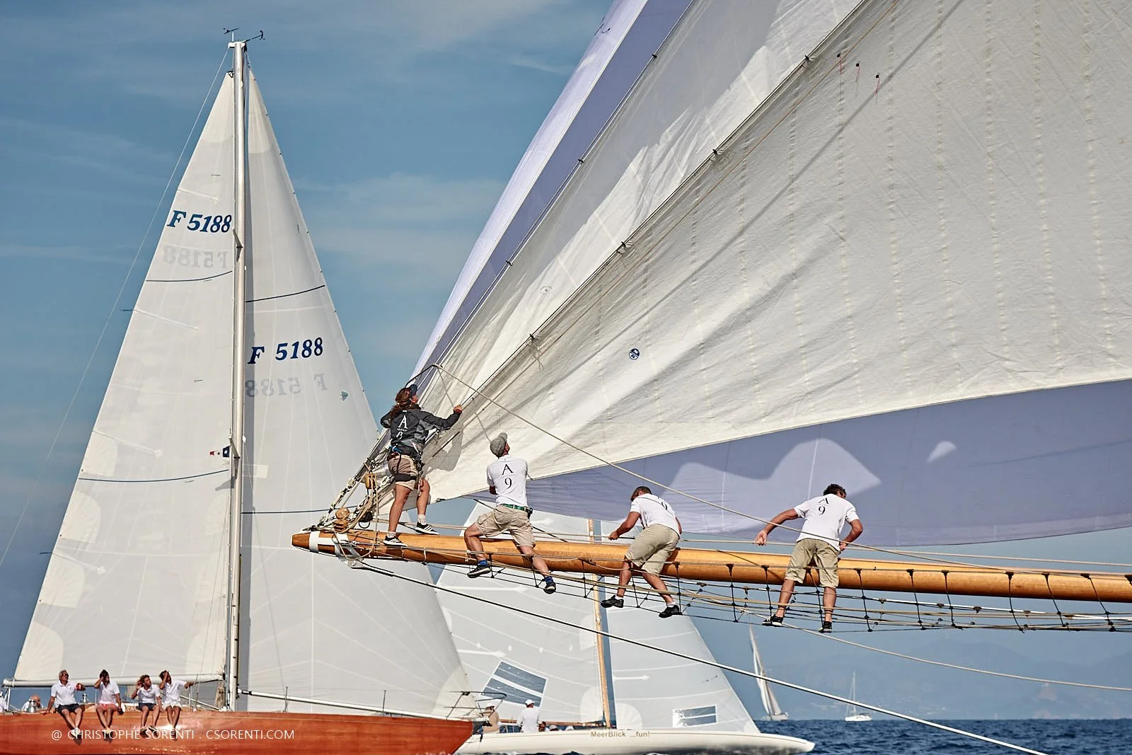 Les Voiles de Saint-Tropez