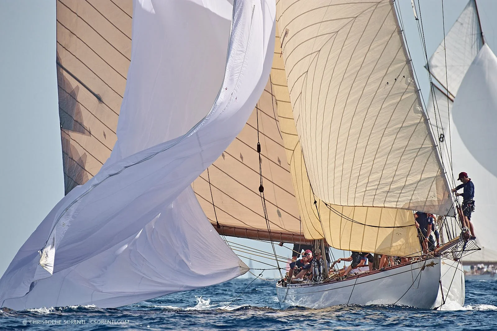 Les Voiles de Saint-Tropez