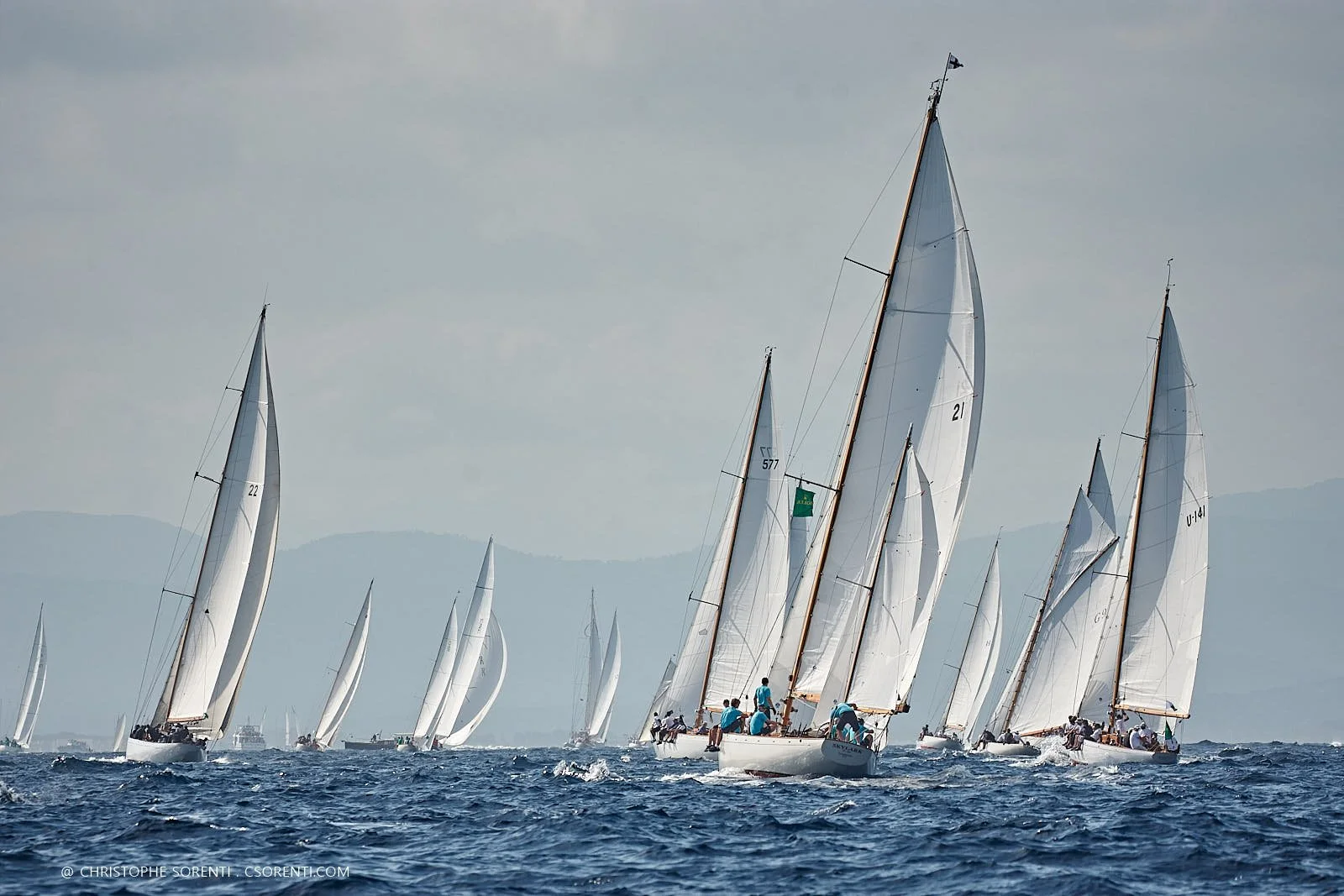 Les Voiles de Saint-Tropez