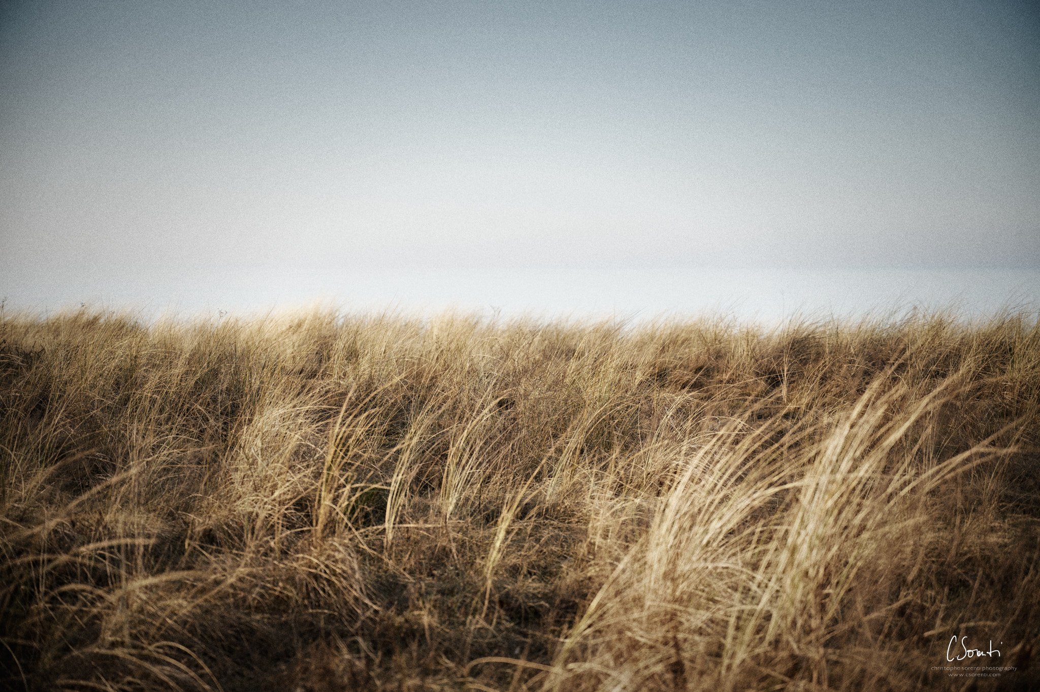 Baltic Blue Ostsee