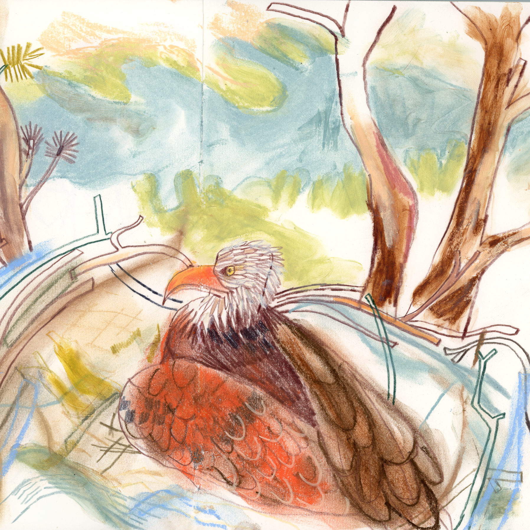 Big Bear Eagle