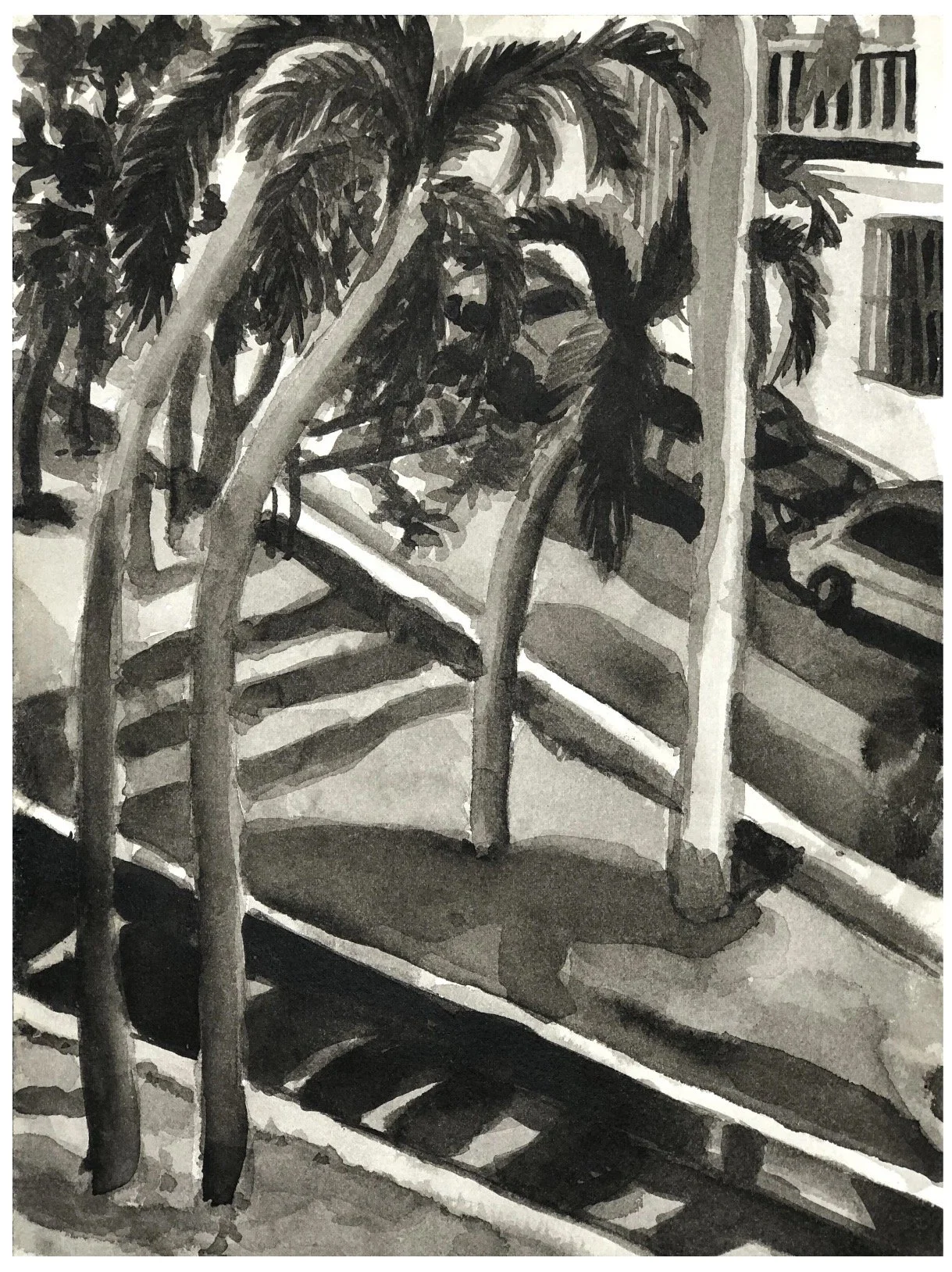 Palmas 