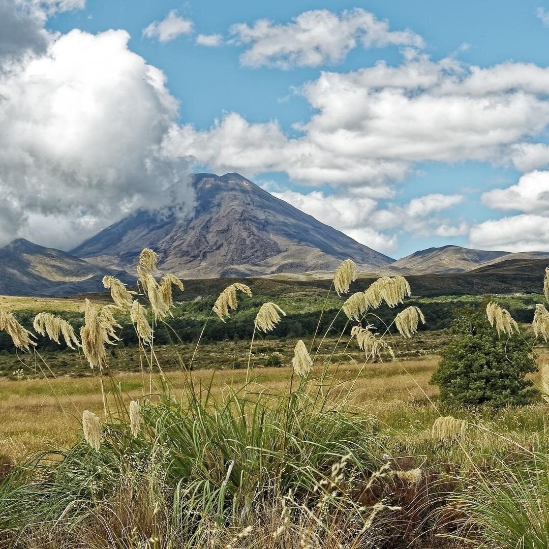 Mount Ngauruhoe looks pretty spectacular against that baby blue backdrop - captured by Makalu 📸 Keen to discover Aotearoa's beautiful mountains and hiking trails? Go on - come join us here in Ohakune for a winter getaway.