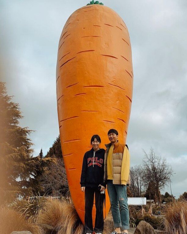 Did you even visit #Ohakune if you didn&rsquo;t get your carrot snaps? 🥕

Cute photo by @hanaabeans