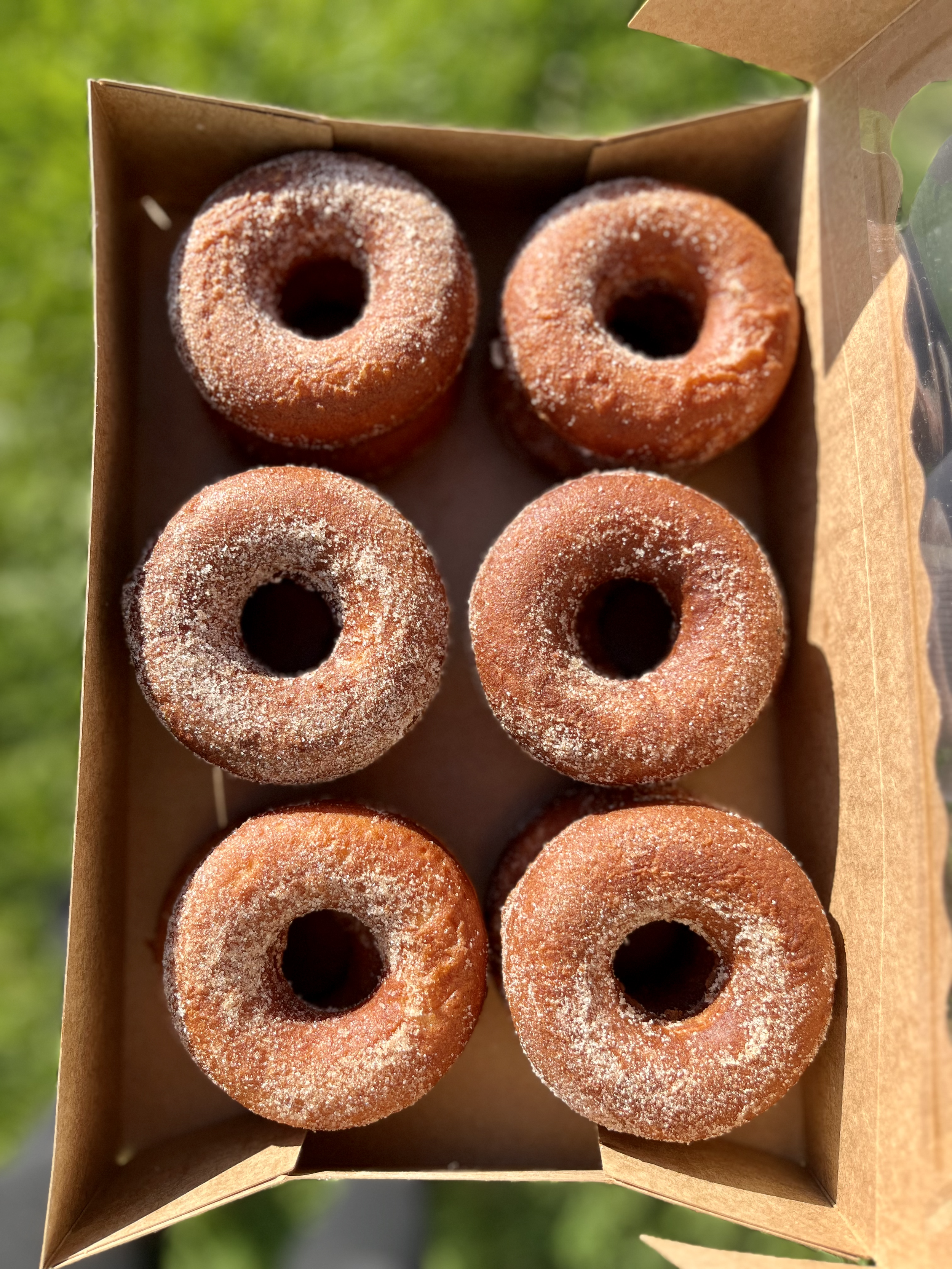 Apple Cider Donuts
