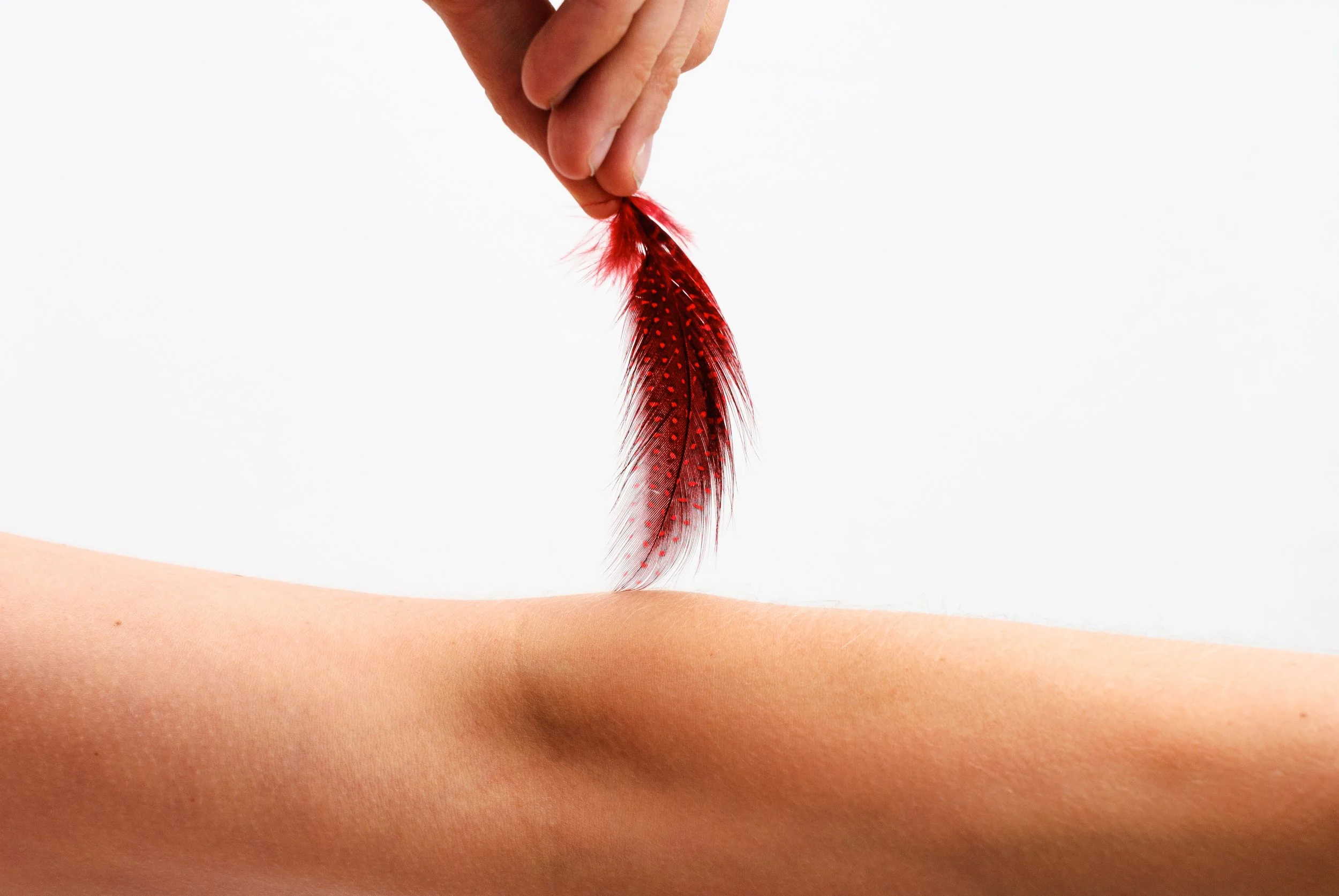 Red feather gently brushed across skin during a relaxing sensory massage session