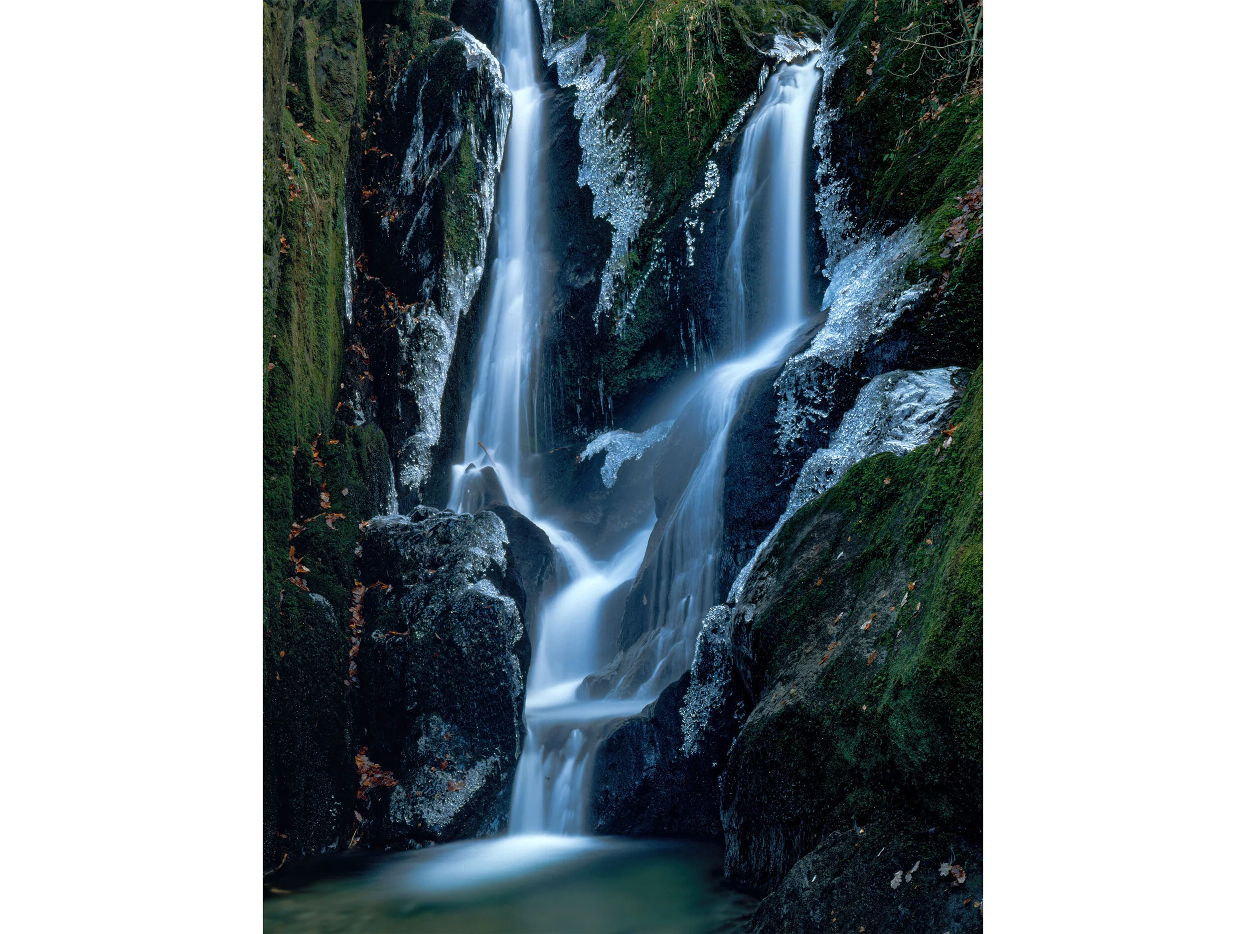 L A N D S C A P E   [ Film ]