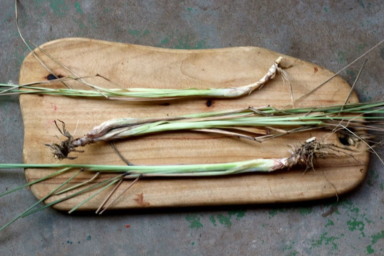 lemongrass.jpg