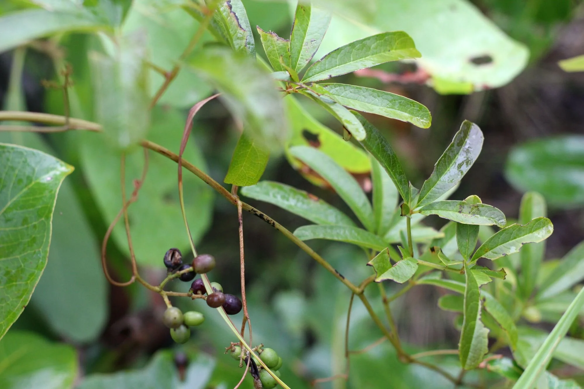 HeadingAssorted text here, which can also link to another page or just be it’s own content right here.You can have more or less, it is completely changeable.