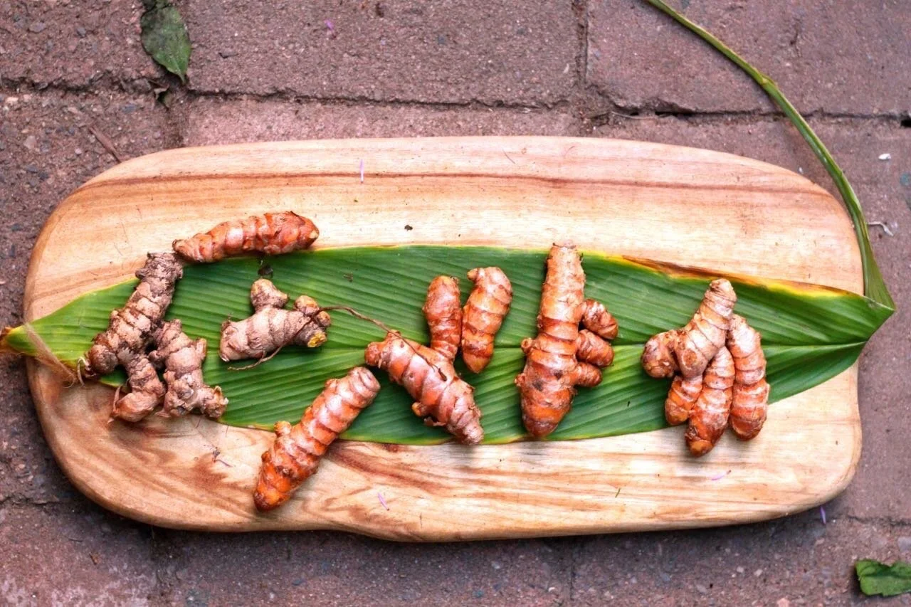 HeadingAssorted text here, which can also link to another page or just be it’s own content right here.You can have more or less, it is completely changeable.