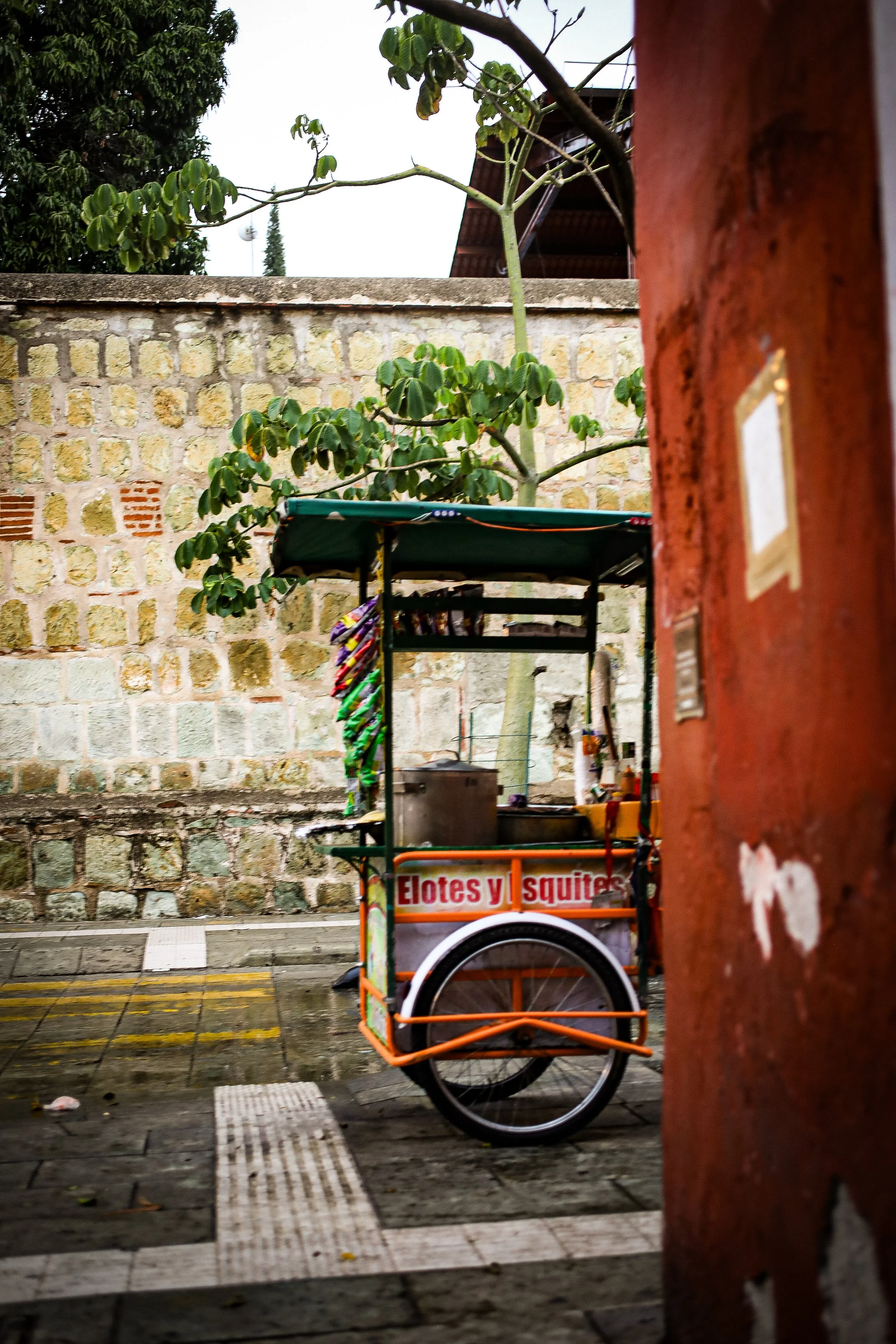 Oaxaca edit-05.jpg