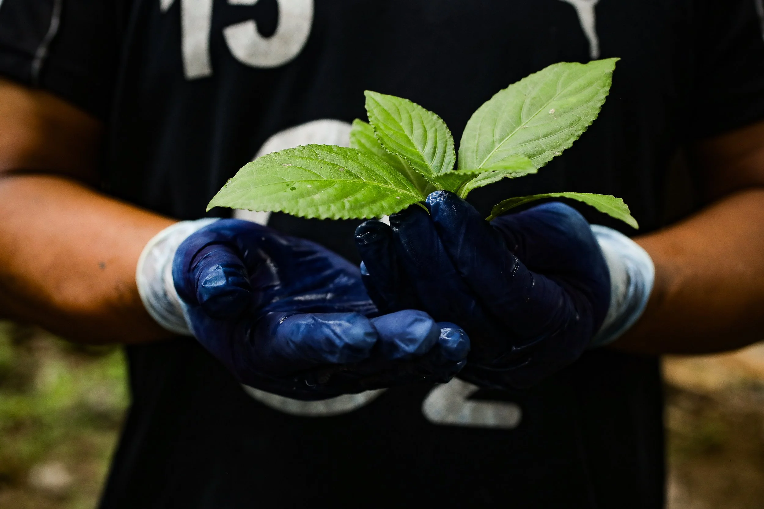 2024 Threads 2-4.jpg