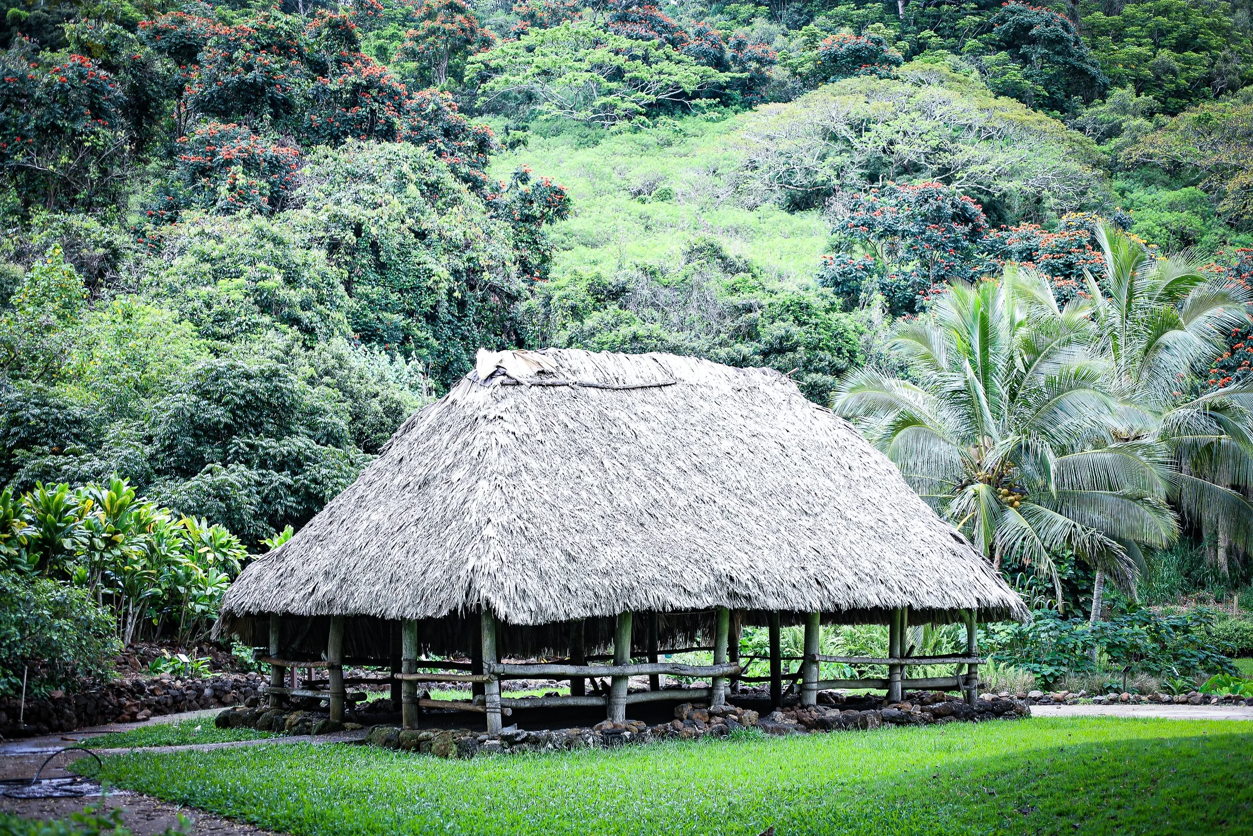 Kauii-6.jpg