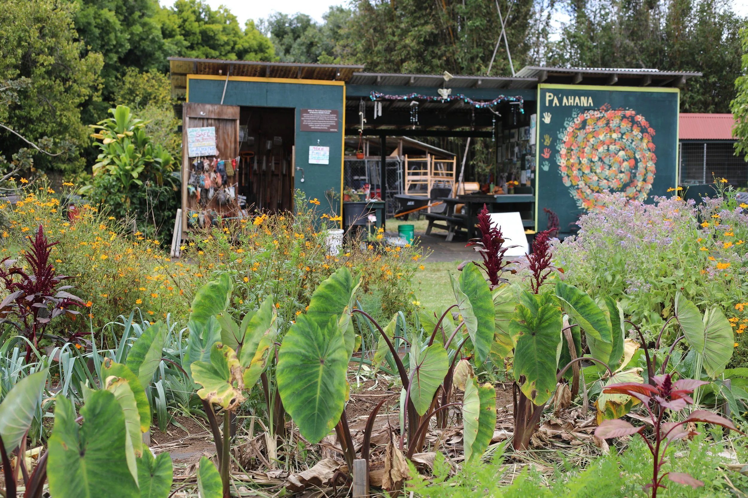 Big Island garden-6.jpg