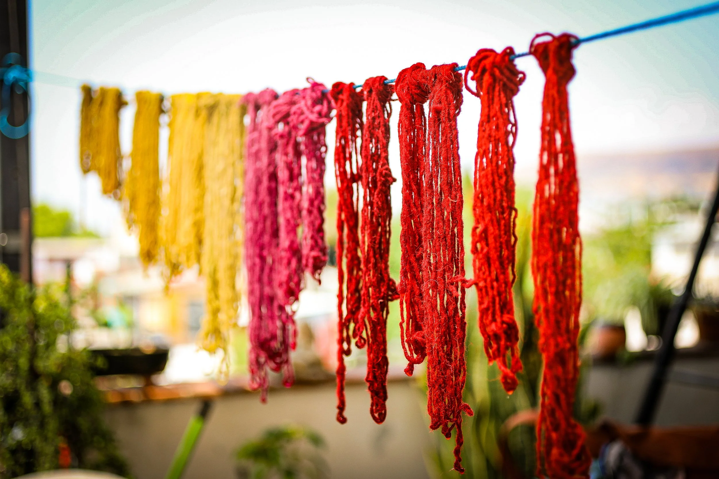 Oaxaca edit-28.jpg
