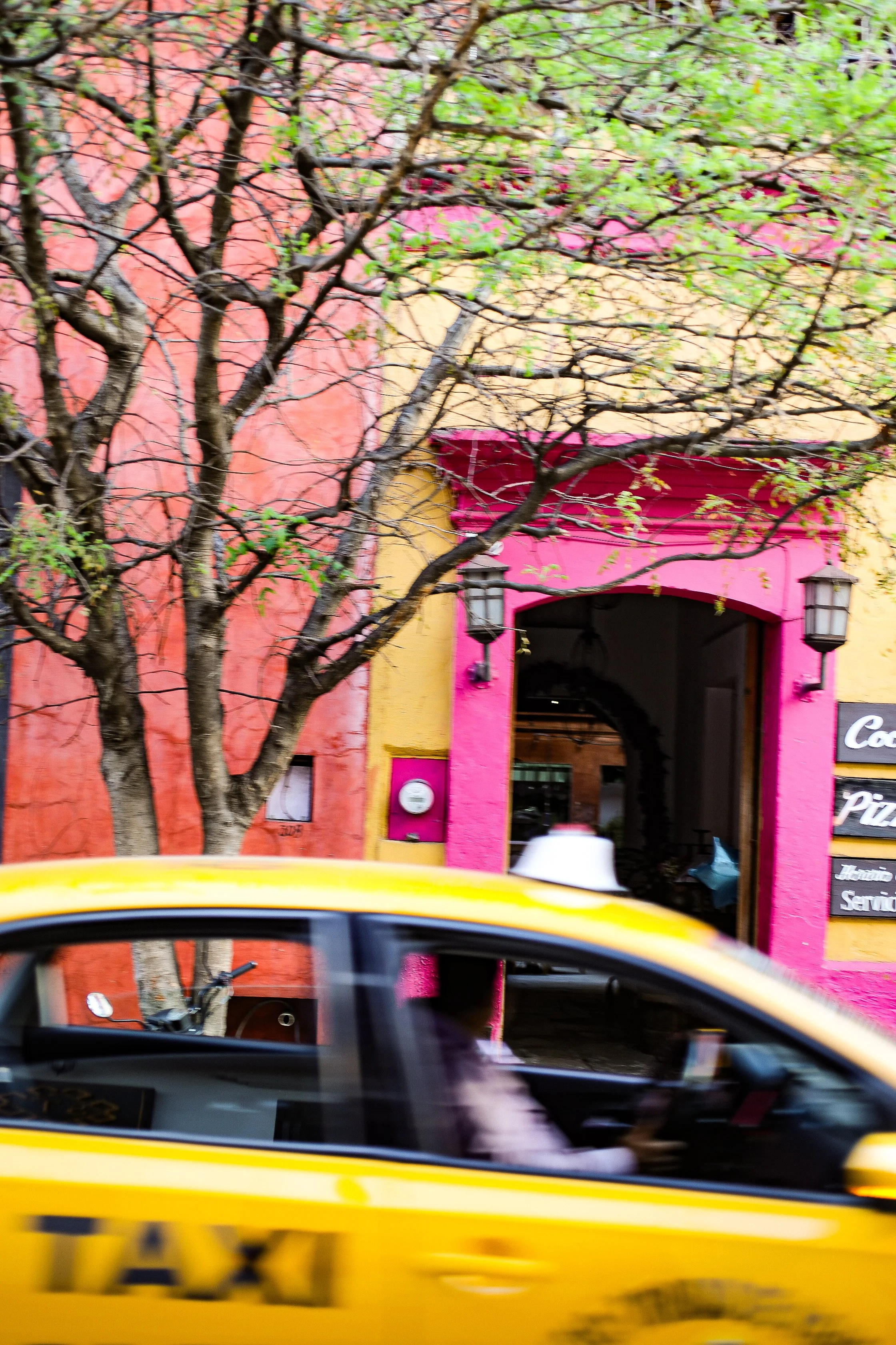 Oaxaca edit-57.jpg