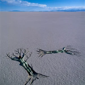 "Surreal Body-Painted Landscape Nudes of Jean-Paul Bourdier" — Glen Allison