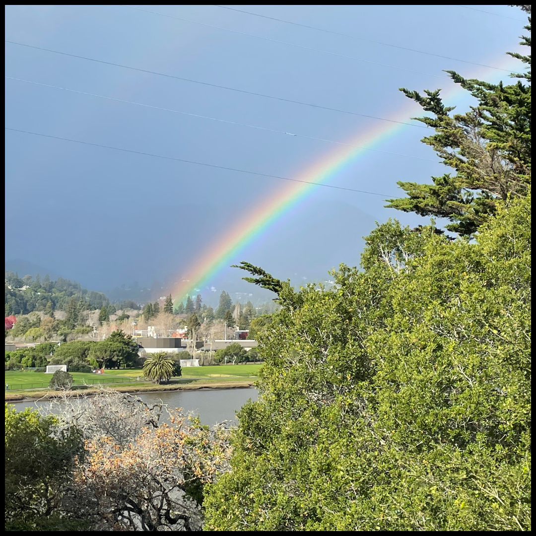 The Rainbow