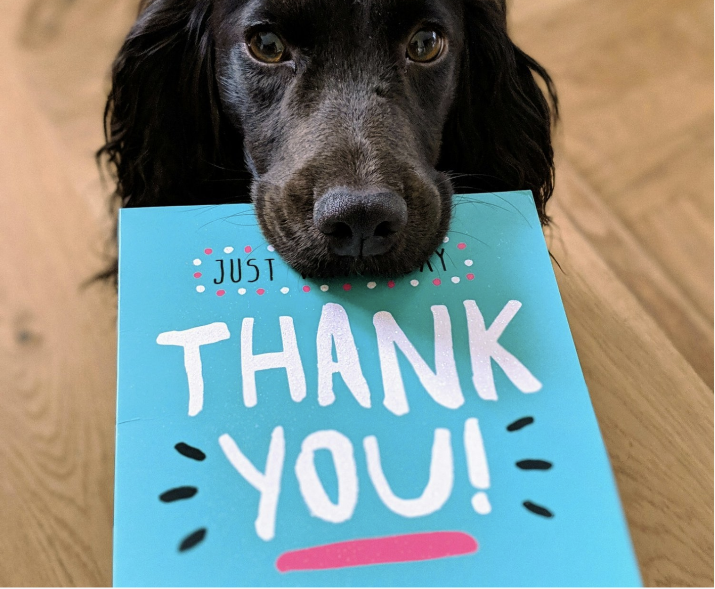 A Thank You Present for You