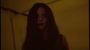  Bird Concerns - The Monster 