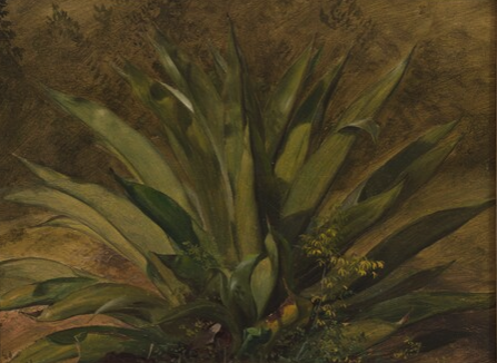 Screenshot 2023-06-16 at 8.04.20 AM.png