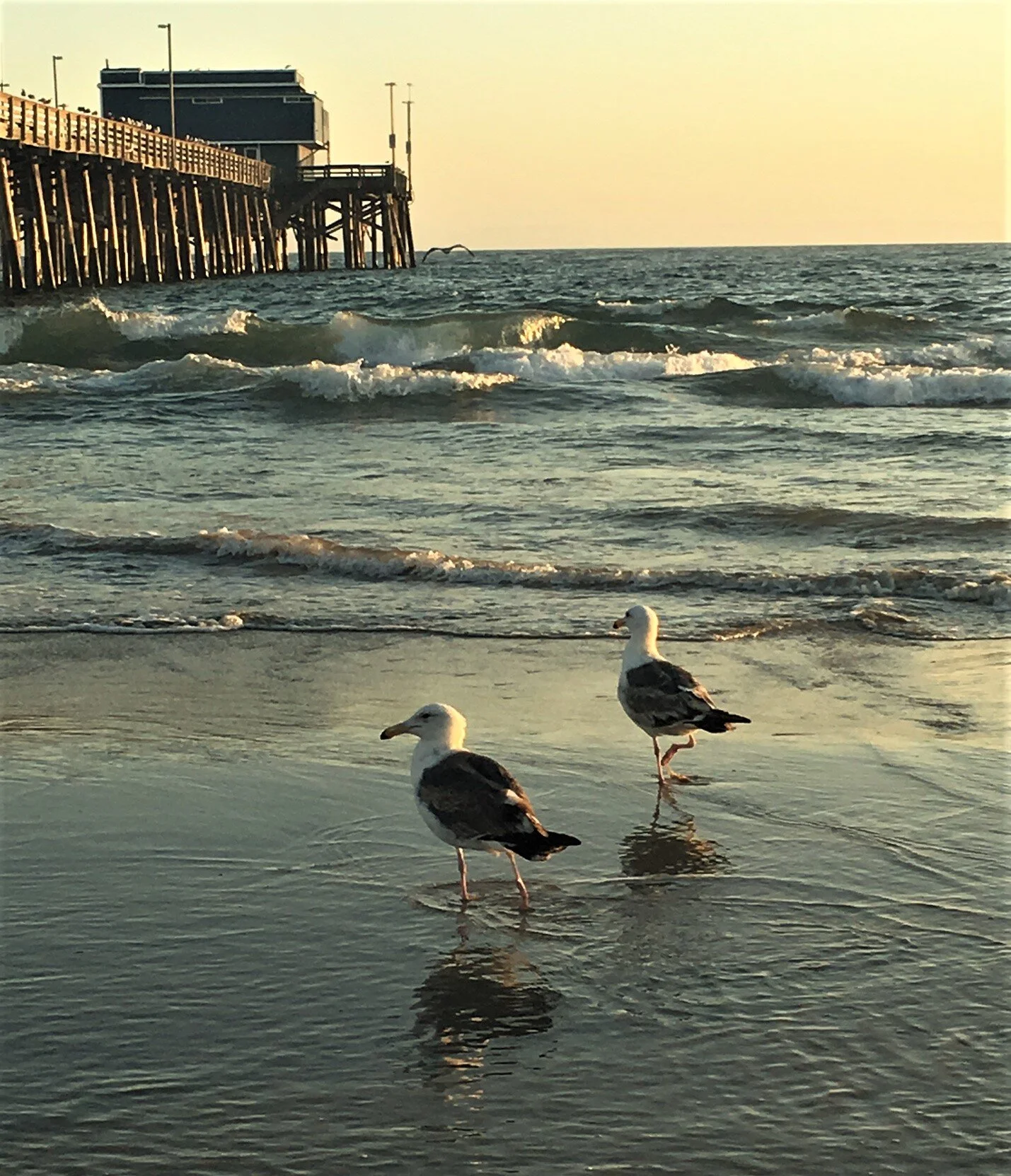 JOGGING AT THE BEACH IS ONE OF MY FAVORITE FORMS OF EXERCISE