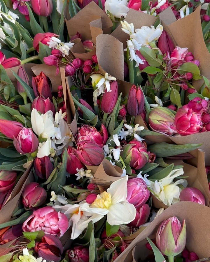Week 4 of the Spring Flower Subscription. Just like that the final week of our spring flower subscription arrived. These bouquets were put together beautifully by Eleni and we named them Raspberry Swirl Gelato!

#comoxvalleyflowerfarm #springflowersu