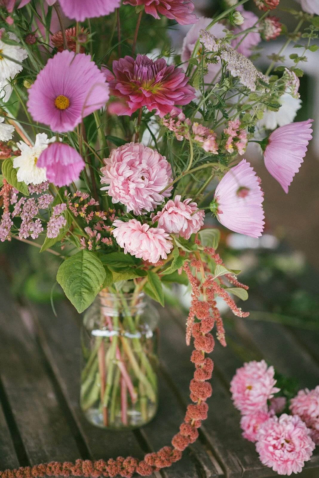 Wild Bee Florals Home