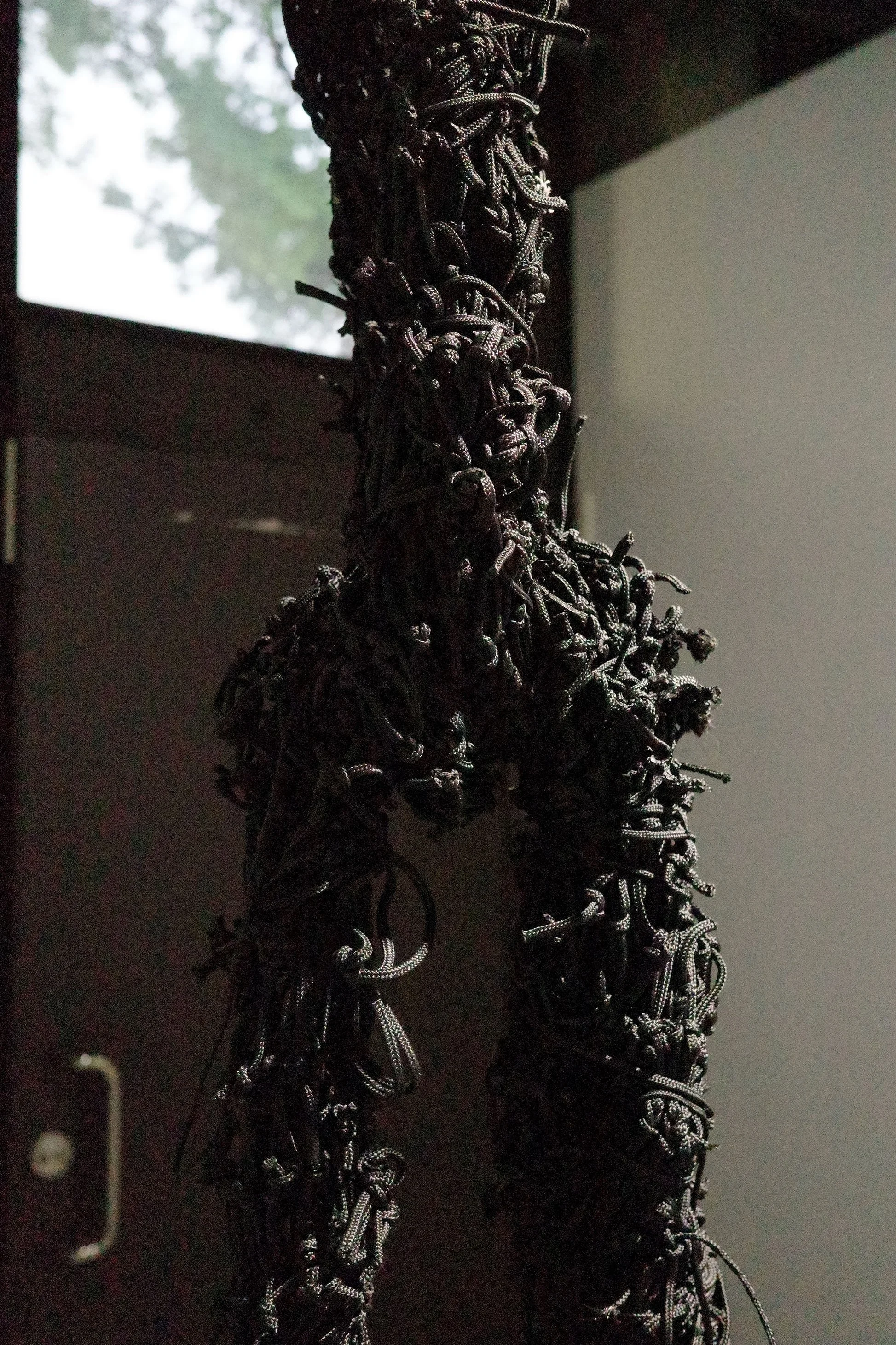 R0003193-1.jpg