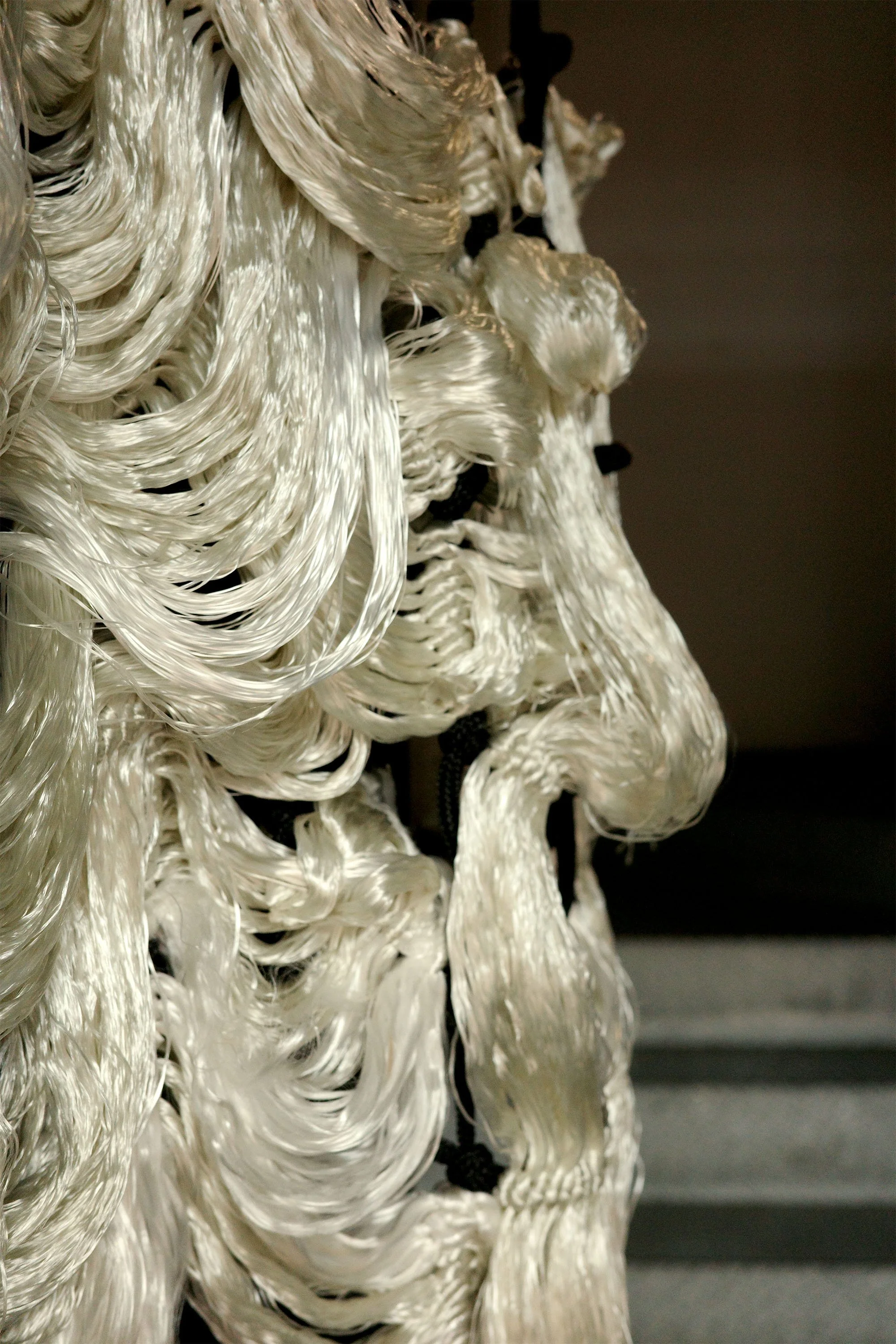 R0003276-1.jpg