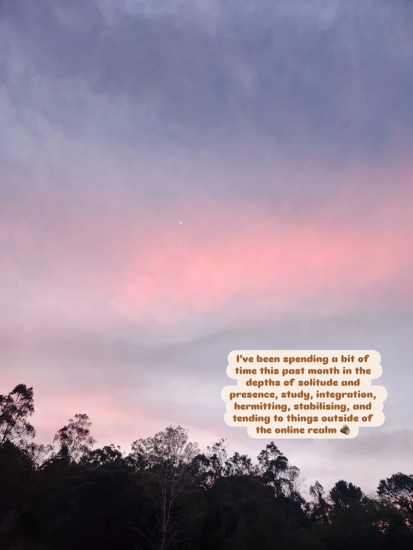 I’ve been spending a bit of time this past month in the depths of solitude and presence, study, integration, hermitting, stabilising, and tending to things outside of the online realm πͺ΅
Our inner systems often hold a lot. Whether it’s f