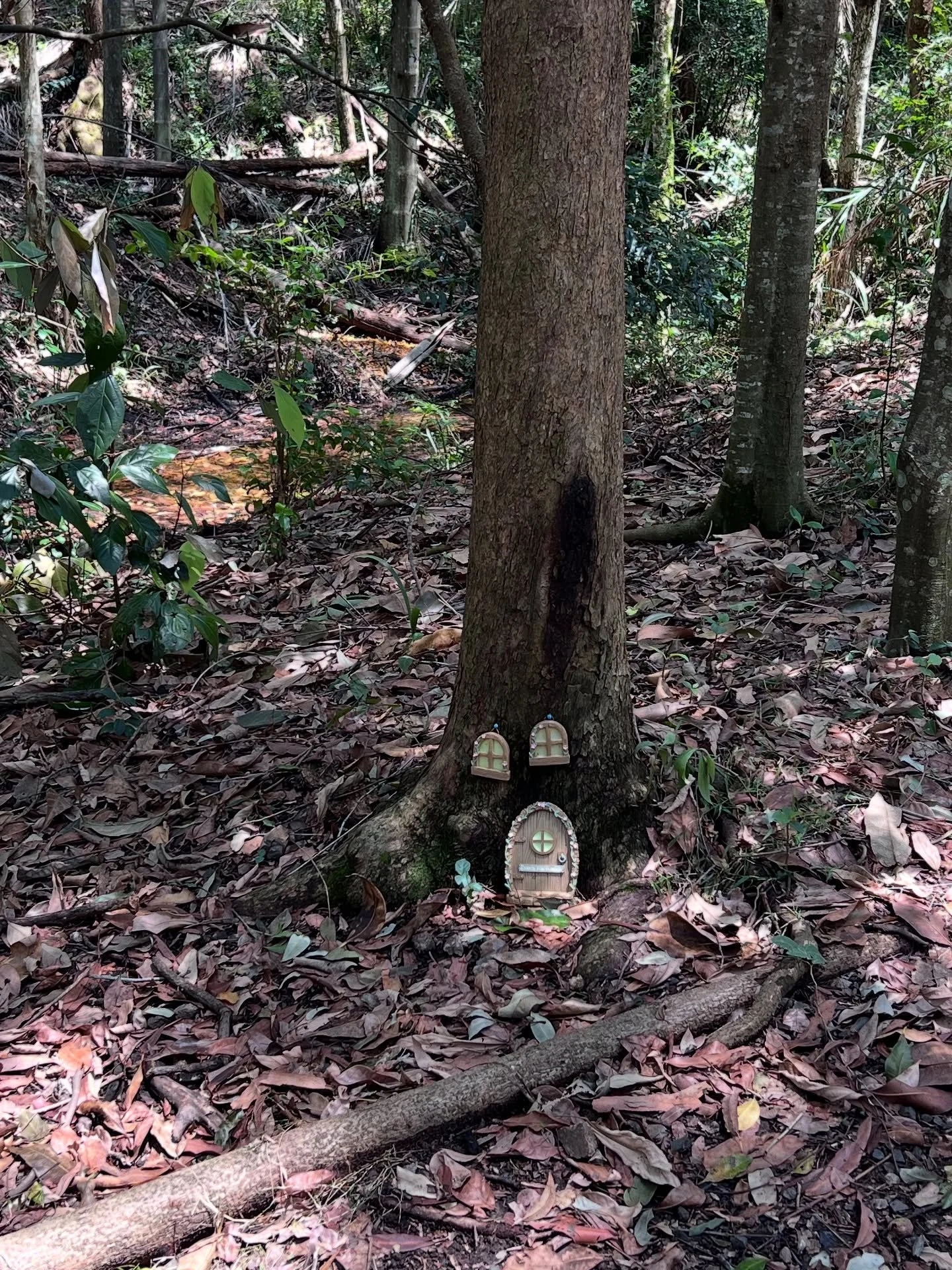 Sometimes there isn’t really much to say or share
But just living and being in life βπΌ
~
I have a few spots available for 1:1 sessions before the year wraps up!
I’m just one DM or Connection Call away, if you need some gentle guidance