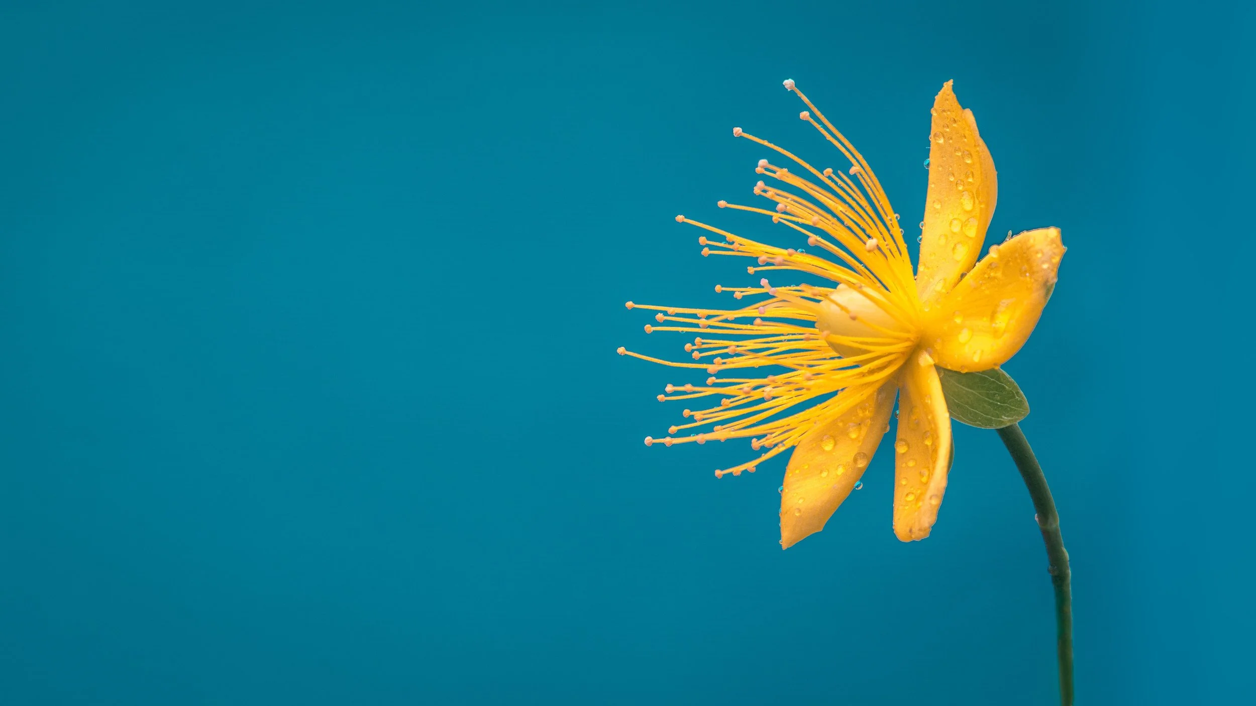 Habits: Five Product Best Practices Learned at Amazon