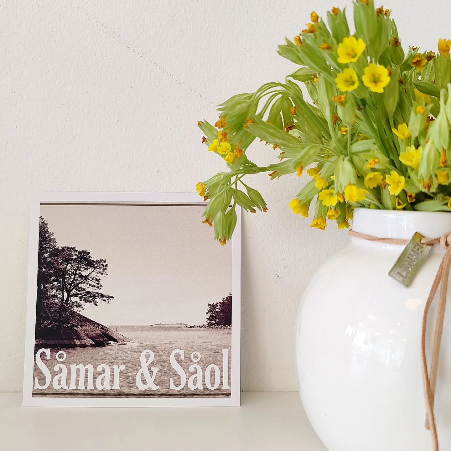 Nytt postkort ☀️
S&aring;mar &amp; S&aring;ol 😎
#archipelagodesignshop