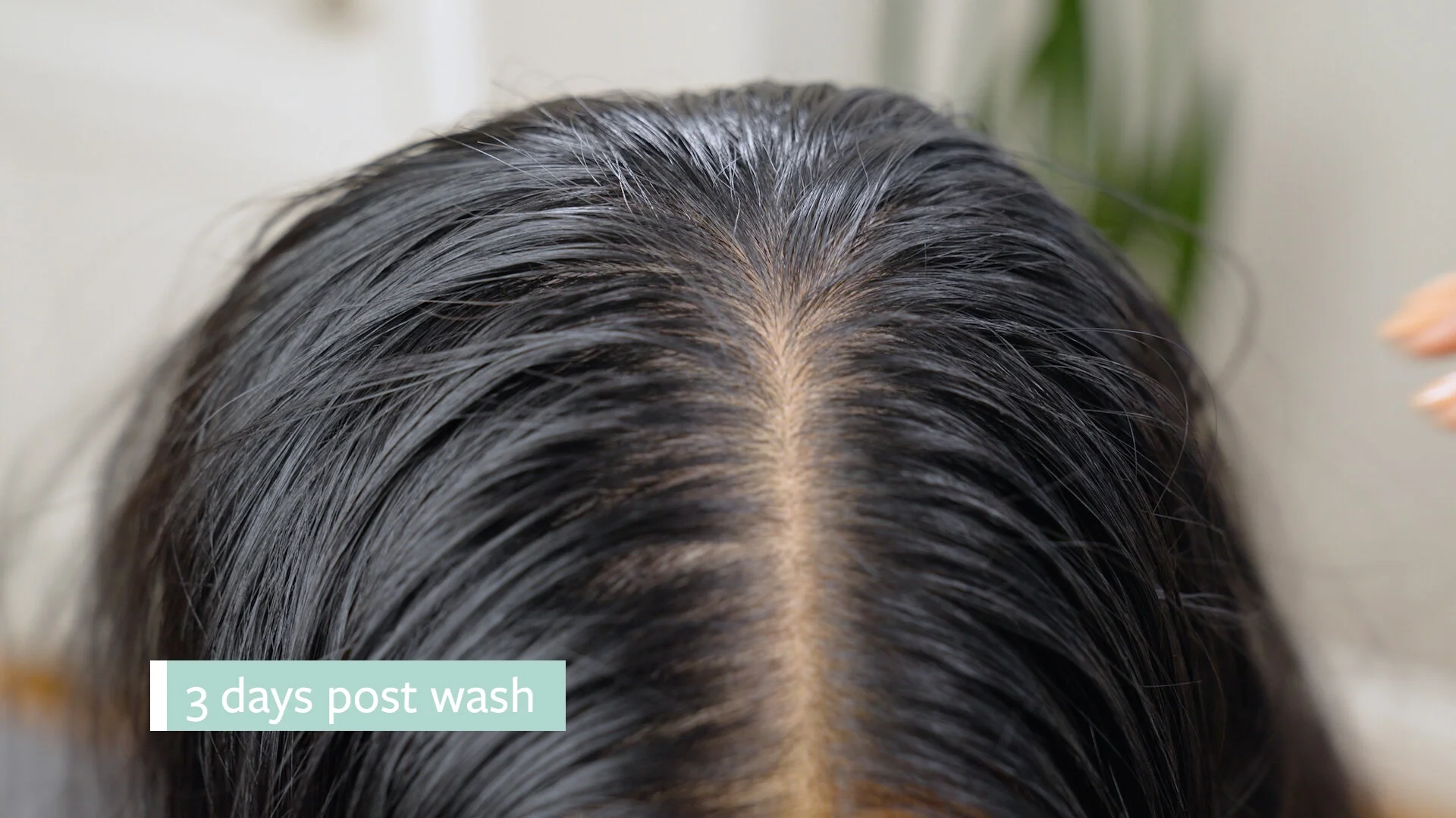 Dry_Shampoo_No_Residue_FINAL.00_00_20_21.Still013.jpg