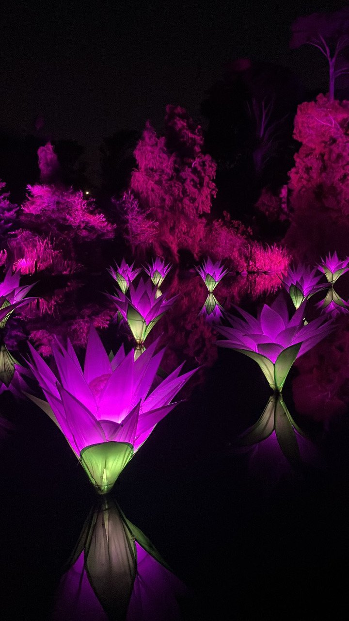 Handel’s Messiah: an uplifting and cautionary tale