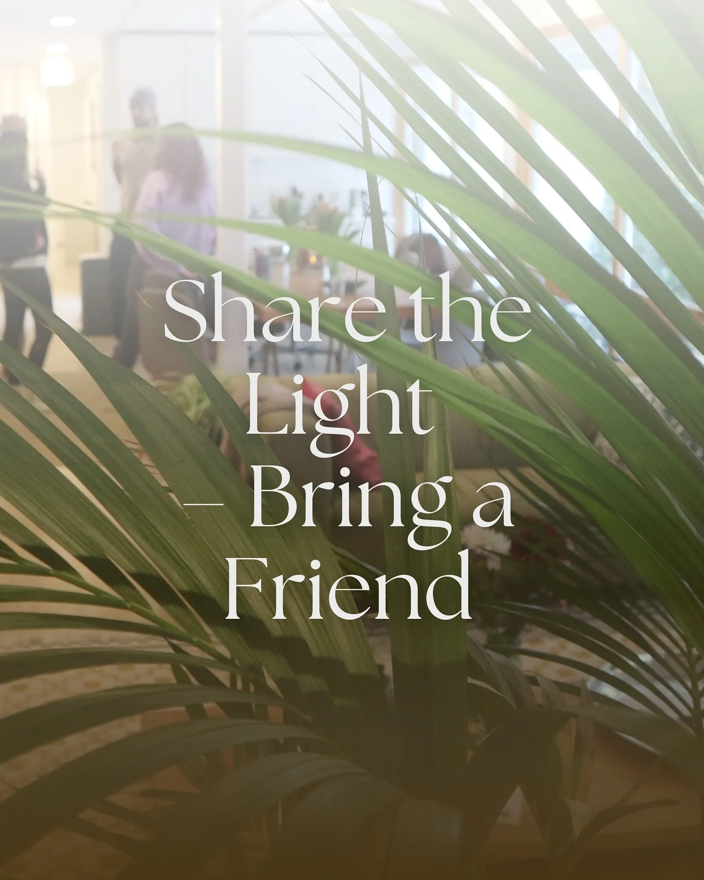 Share the Light – Bring a Friend 🧡🧘🏻
This season, we invite you to share your practice and grow together.
Bring a friend to Northern Light Yoga and you’ll both receive one month of free training when signing up for a 6- or 12-month me