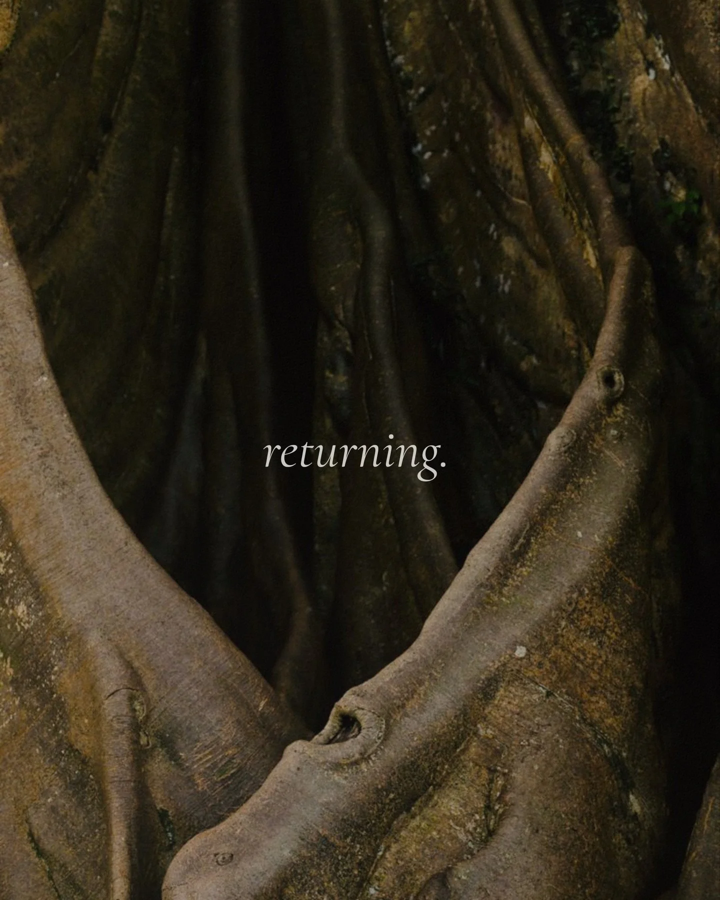 Long before we had words for returning, for healing, for softening, we had the earth. 🌱

It is spring. It is awakening. And so do you. 🤍
Now ask yourself, since it is Spring Equinox today.

What did winter ask of you?

What are you carrying into th