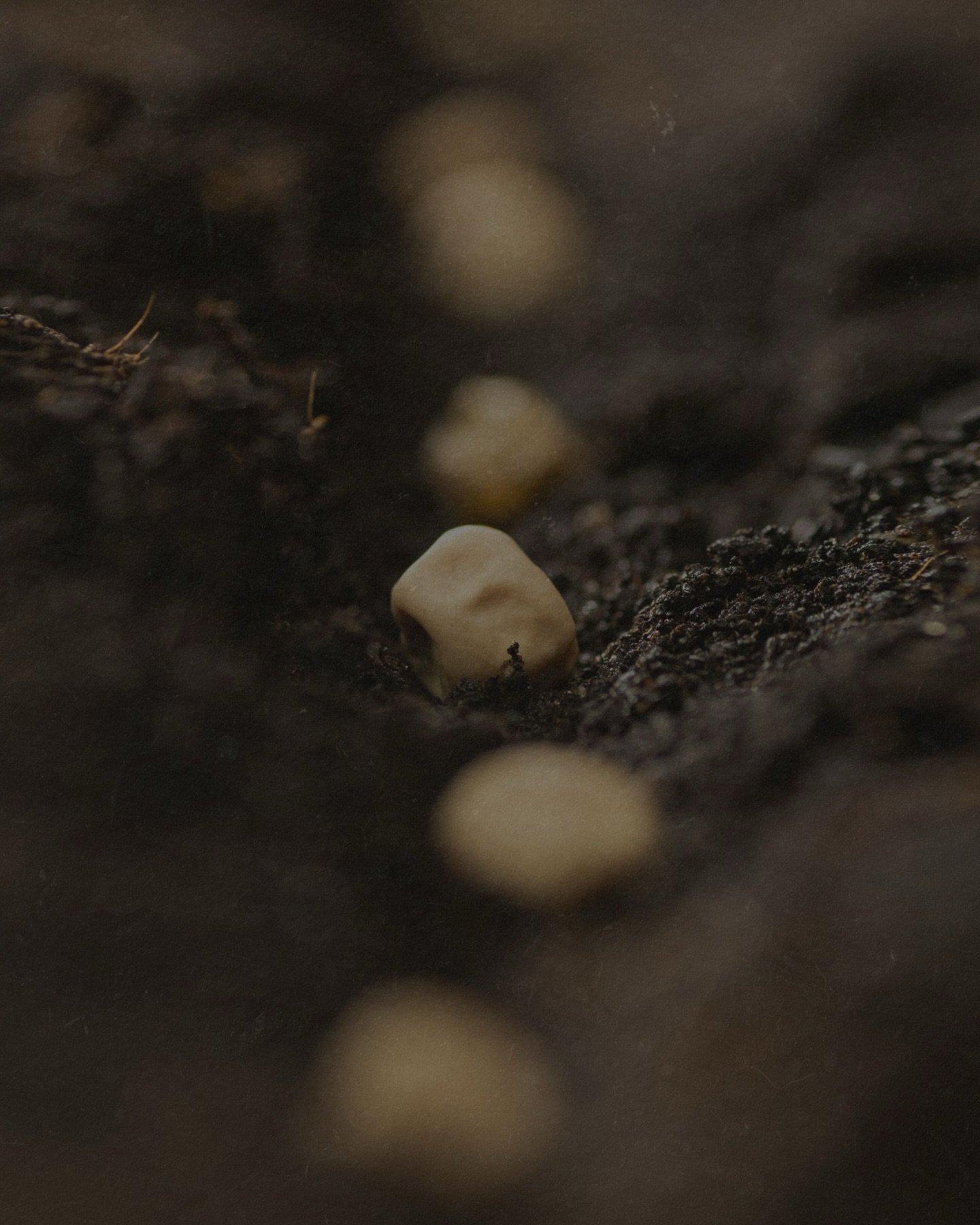 Your nervous system does not reset on demand.
It responds to patterns. 🧘🏻

To the morning breath you take before reaching for your phone.
To the midday pause you give yourself between the noise.
To the evening fold that tells your body the day is d