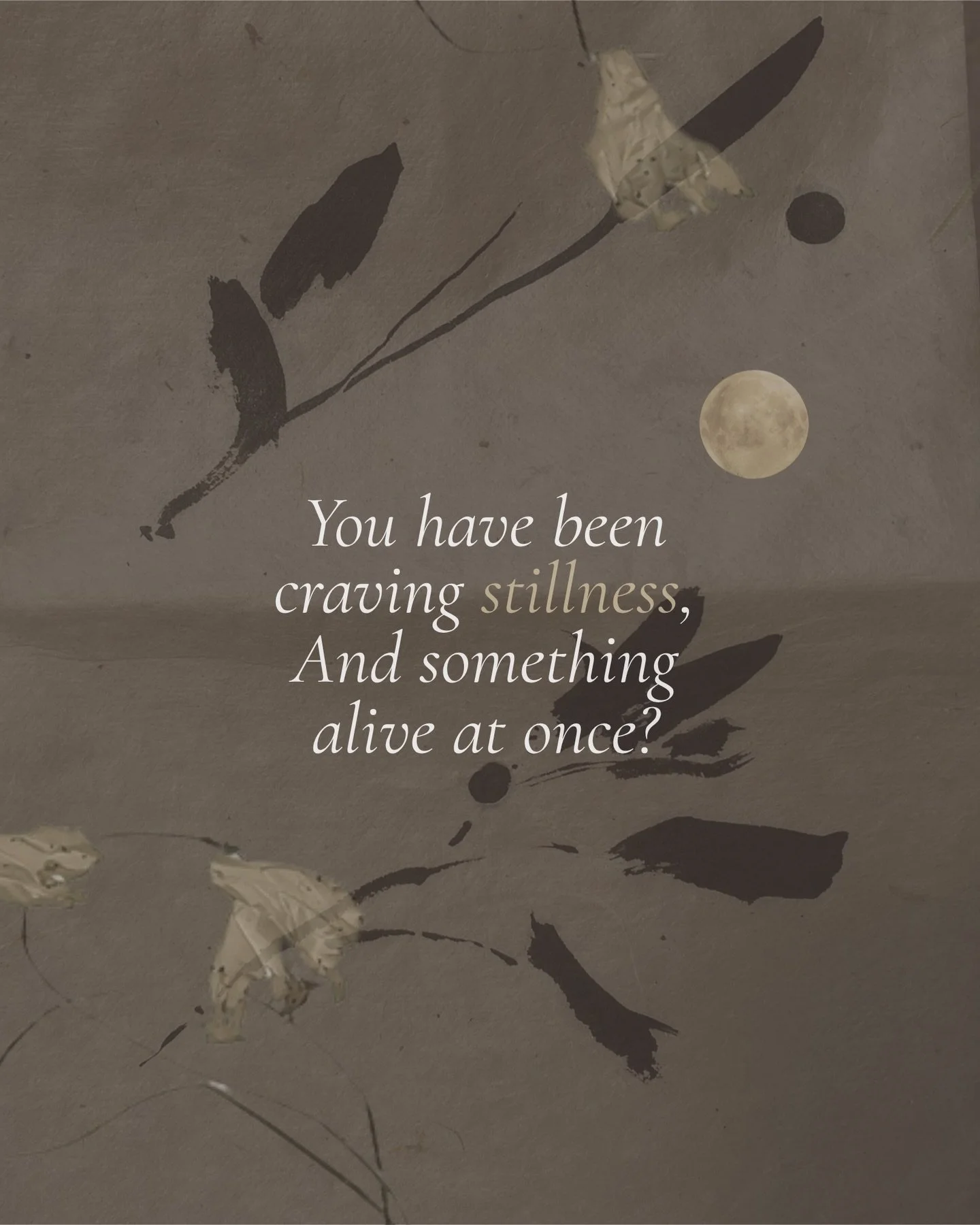 We love to think of our Full Moon Celebration as an evening where everything you have been quietly craving finally has a place to land. 🪷

The Flower Moon in May is a powerful time to release, to gain clarity, and to reconnect to the vital life forc