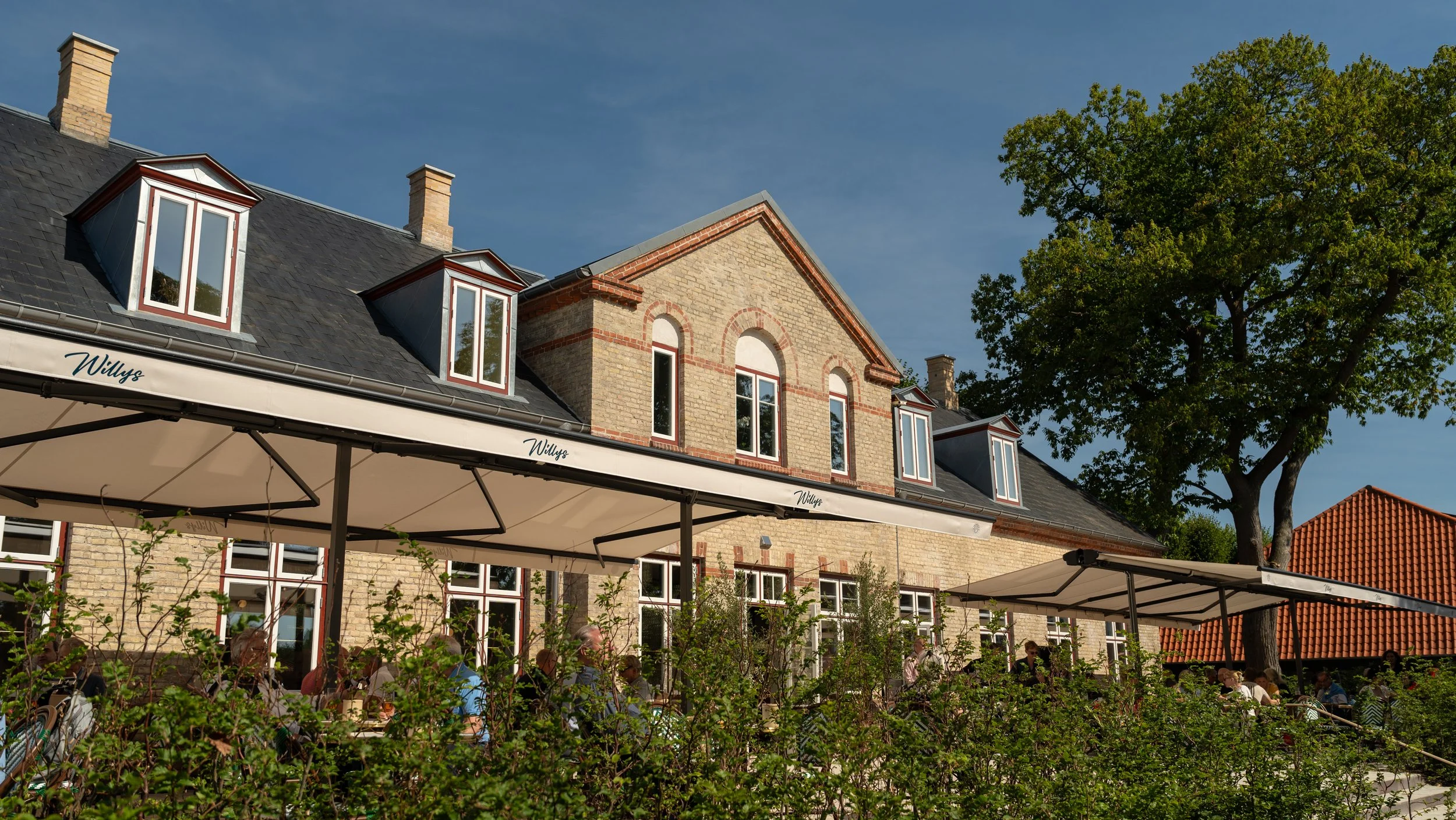 Summer Vacation at Restaurant Willy's