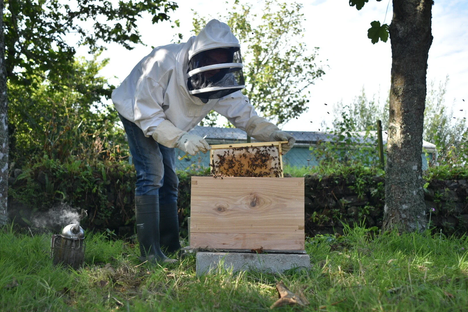 New to Housel Shop | Cornish Honey. 