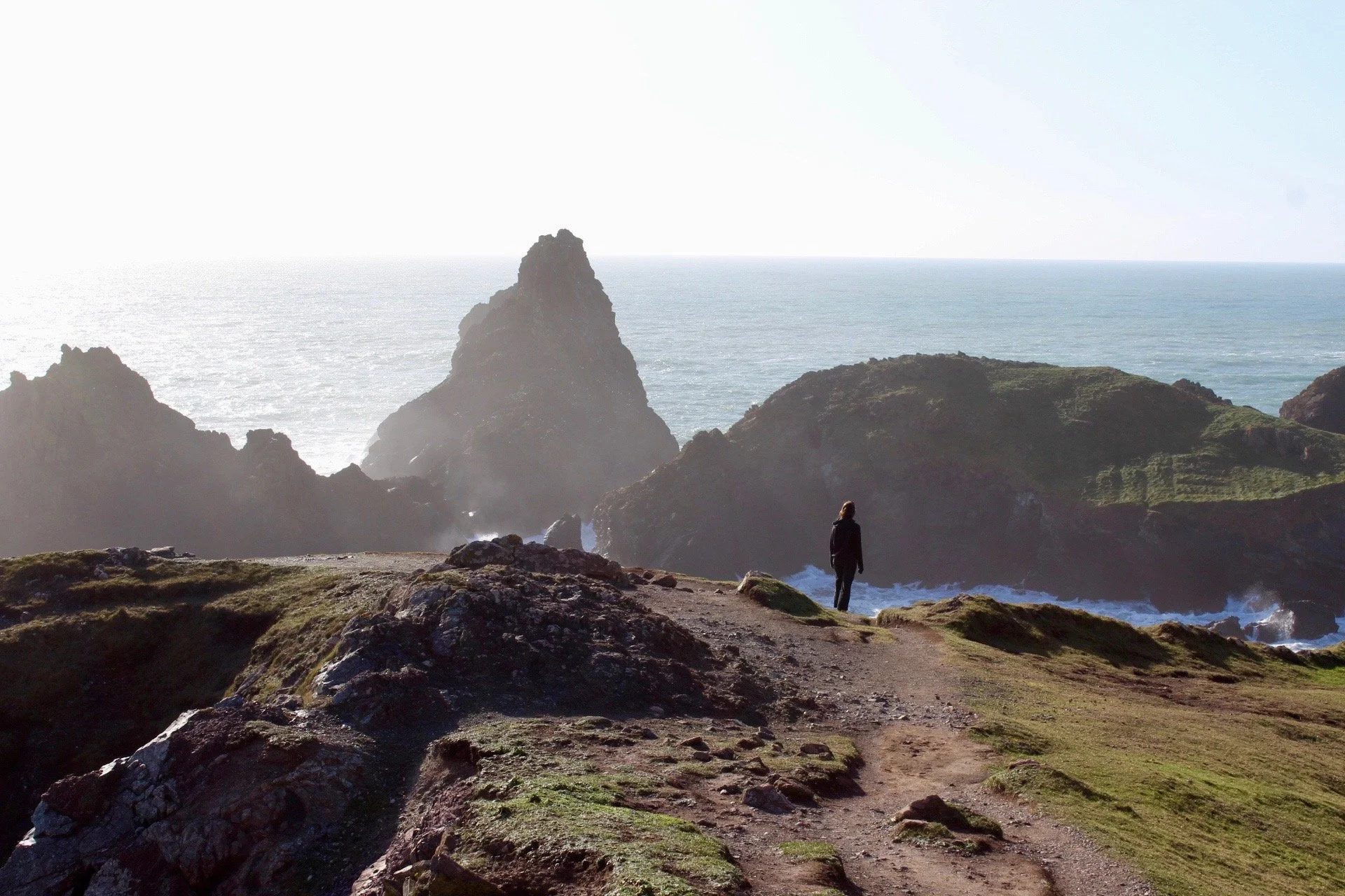 Wild Winter Activities On The Lizard