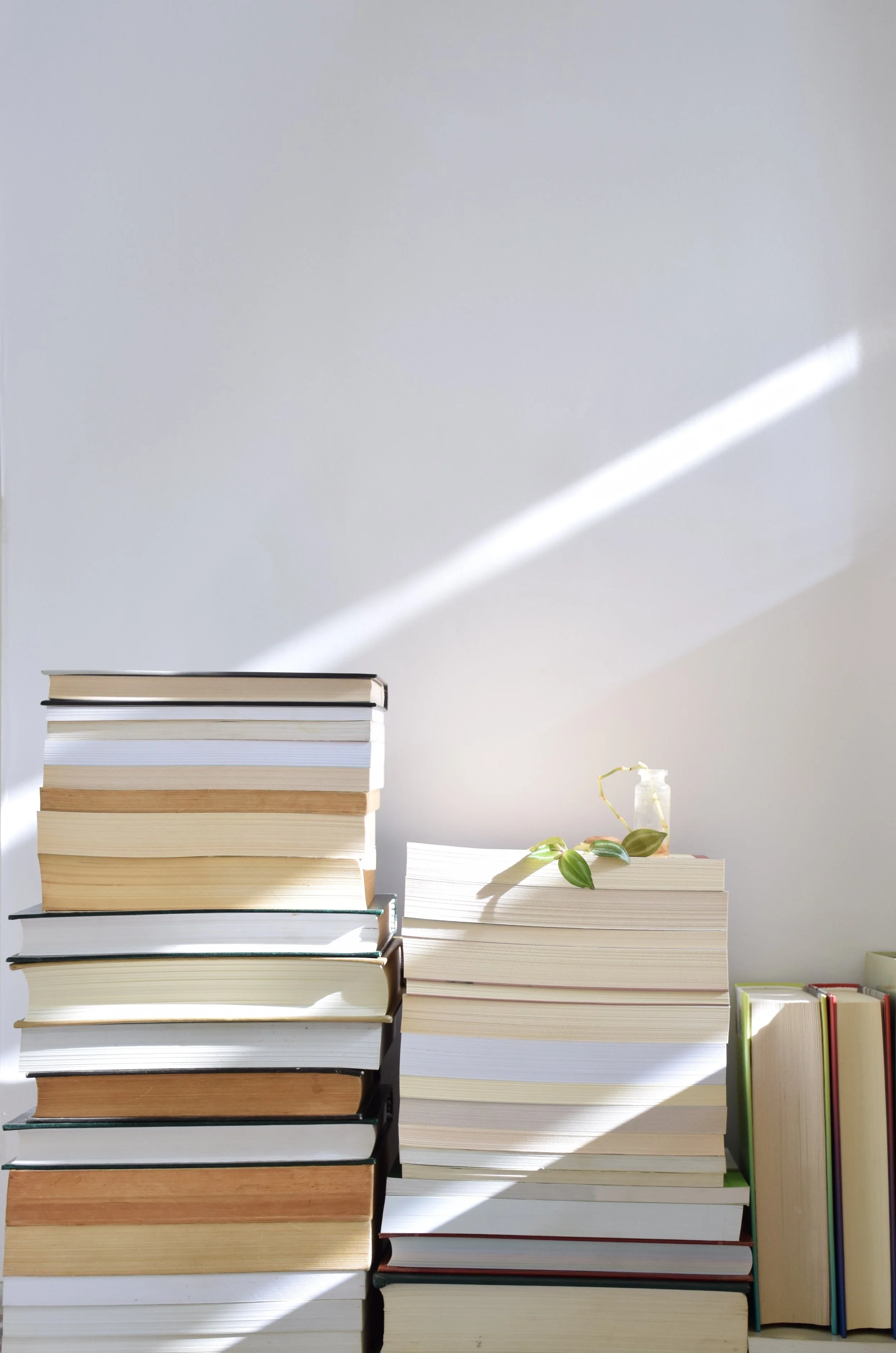 Be Inspired to Read | Our Top 4 Picks.  