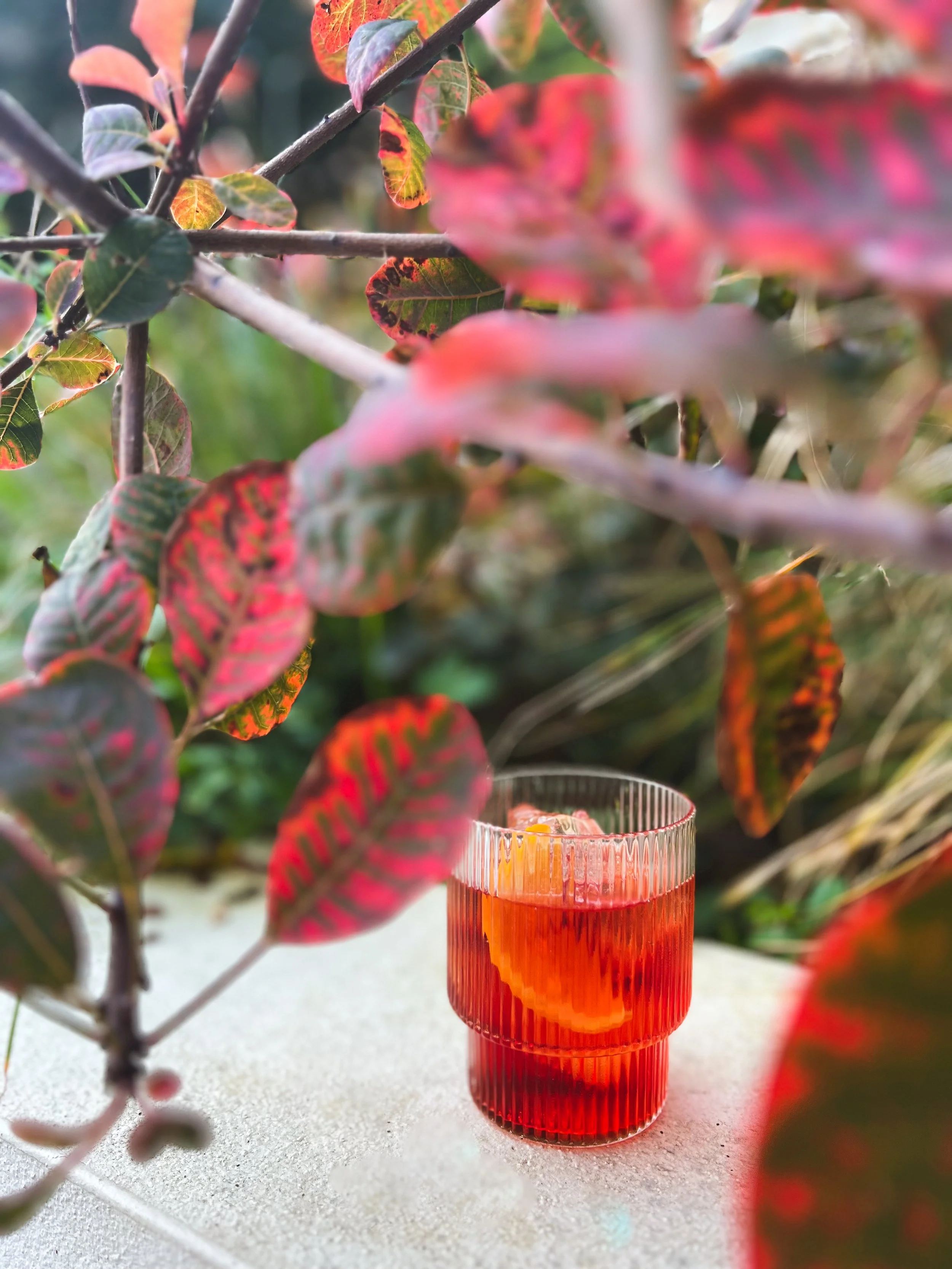 New Autumn Cocktails