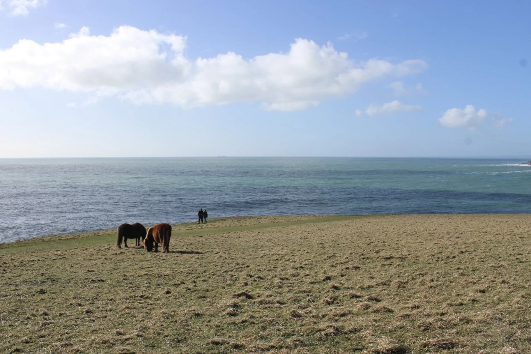 5 Reasons to Choose The Lizard For Your Valentines Break.